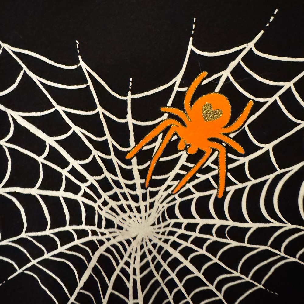 Like new spider Halloween long sleeve T-shirt size kids large 11 to 13
